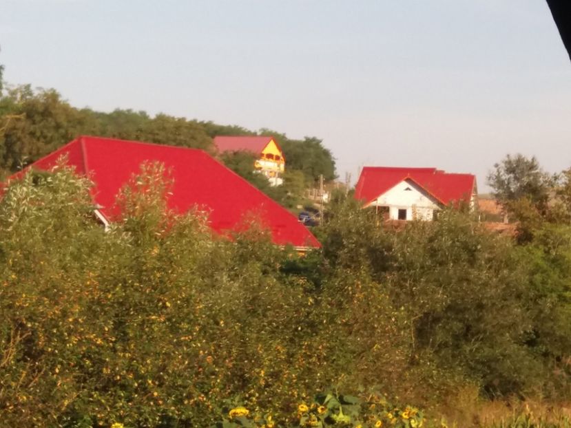  - Casuta noastra de la tara