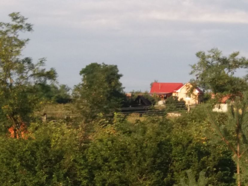  - Casuta noastra de la tara