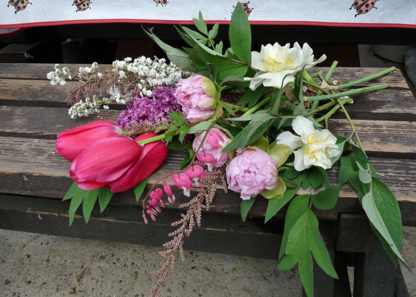 © - 01 - Floristica