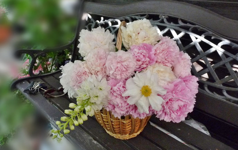 © - 01 - Floristica