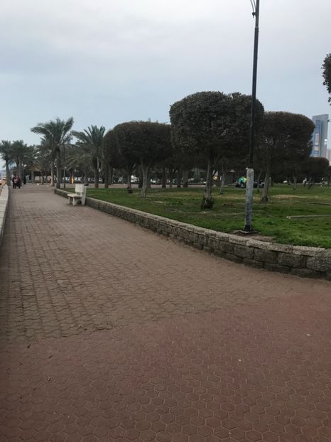 F8D31F44-FF4B-4C2D-8326-A0447AFF3D9A - Fami