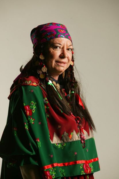 Virginia Rogin-Sulfina - Inima de tigan