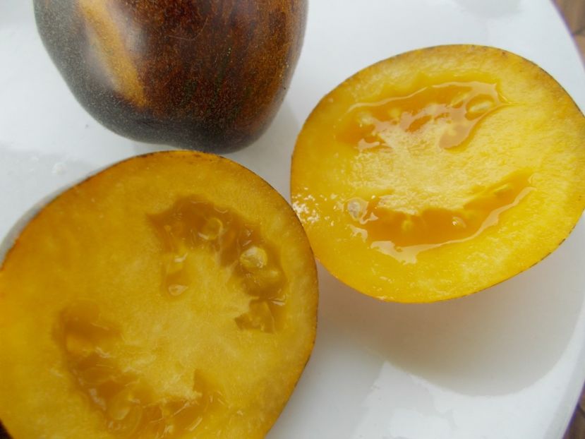  - SEMINTE ROSII - T 327 PRIMARY COLORS ANGORA