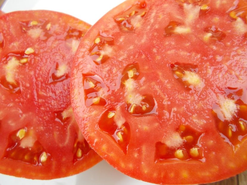  - SEMINTE ROSII - T 449 WANDA S POTATO POT