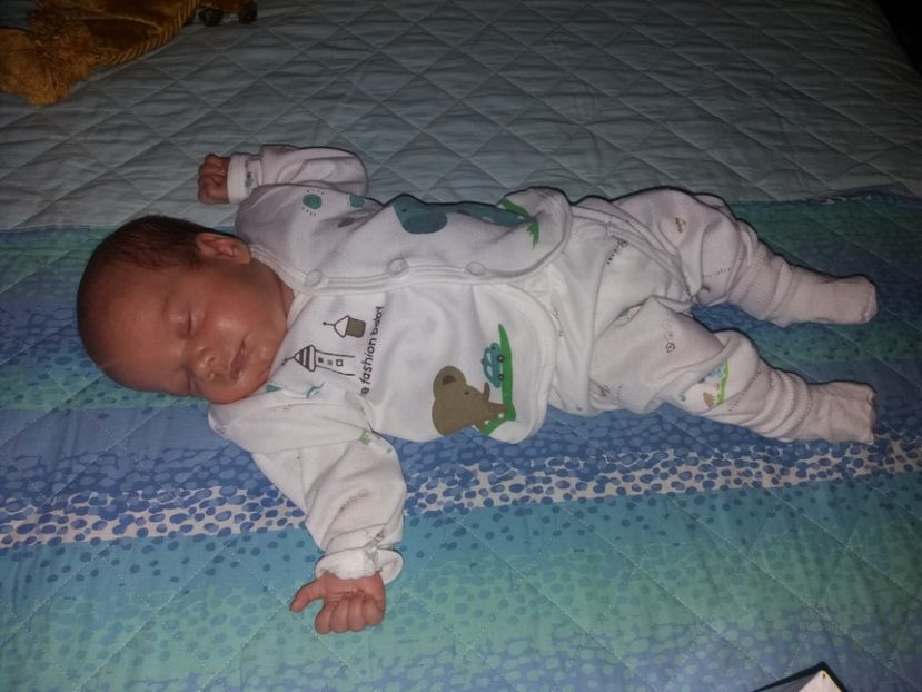  - Gemeni august 2019