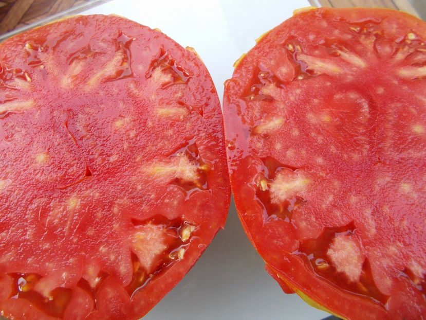  - SEMINTE ROSII - T 423 MARBONNE