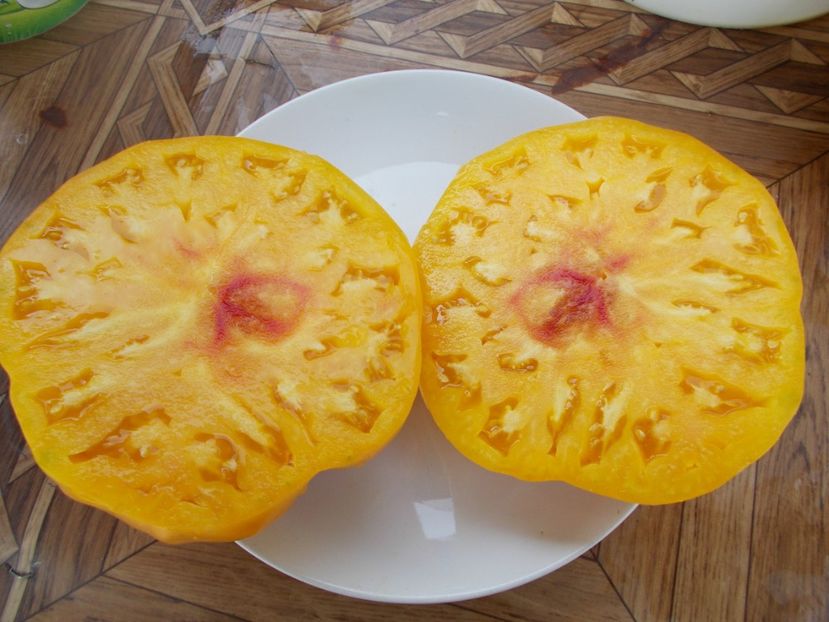  - SEMINTE ROSII - T 349 GOLD MEDAL