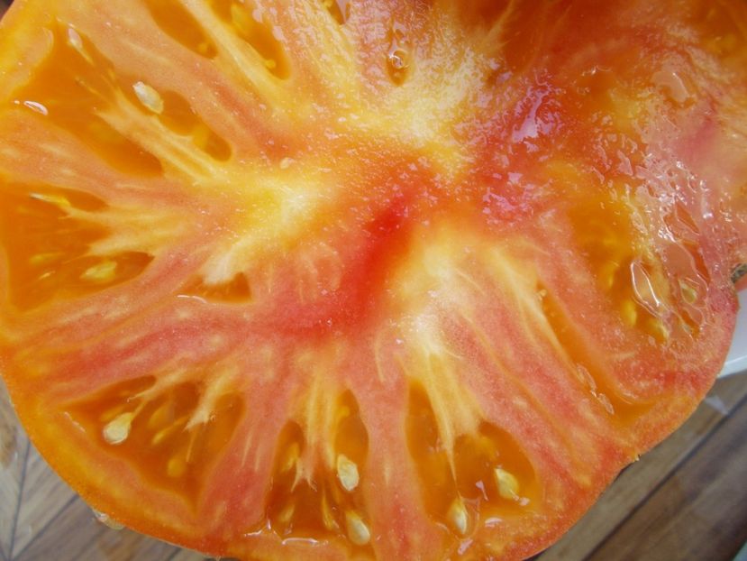  - SEMINTE ROSII - T 363 AFTERNOON DELIGHT