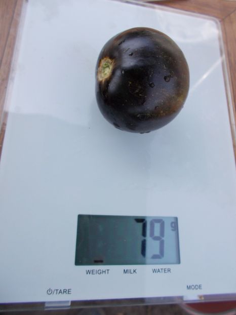  - SEMINTE ROSII - T 461 COSMIC ECLIPSE