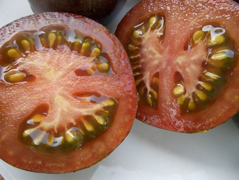  - SEMINTE ROSII - T 461 COSMIC ECLIPSE