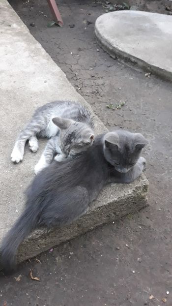  - Iubiri mici!