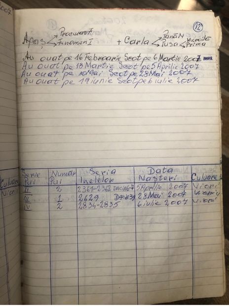 Primul an din viata lui Apas - Pasari vechi din crescatoria lui Nirca