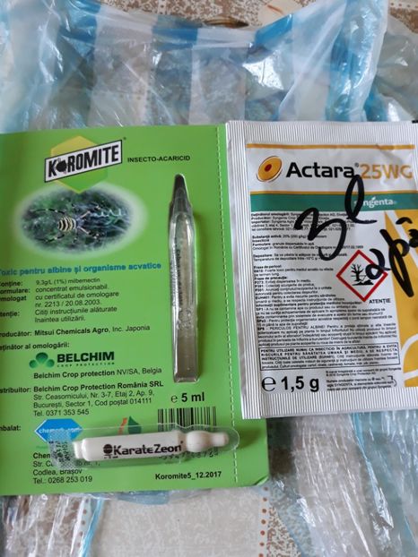  - Tratament achimenesi