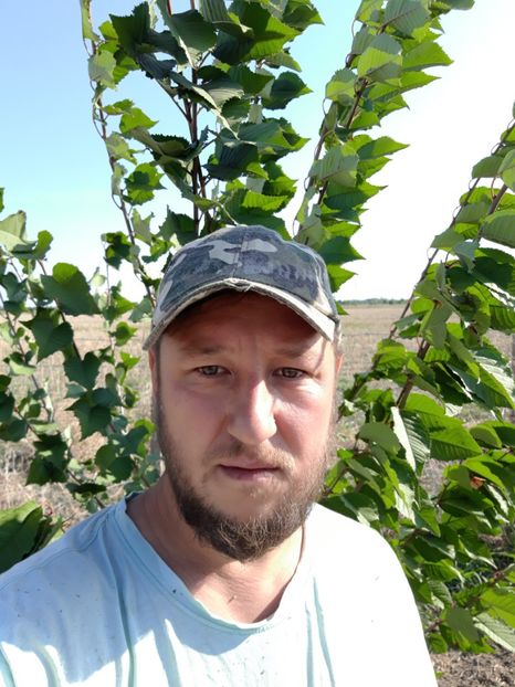  - Livada 1 anul ll 2019