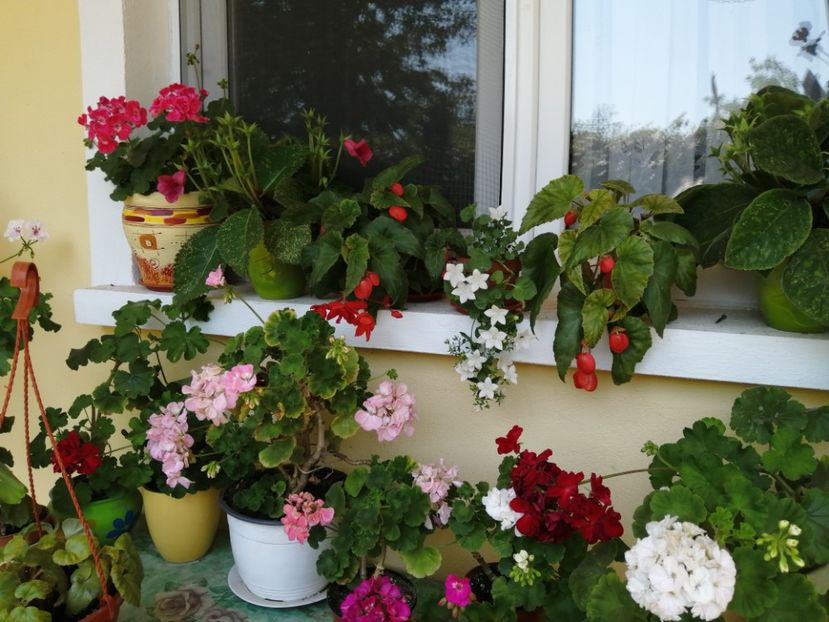  - Frumuseti la casa parinteasca
