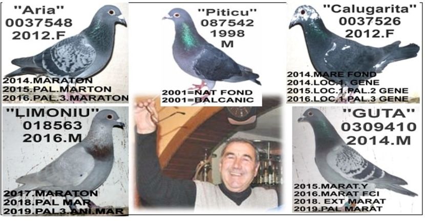 PUBLI 2019 TOLOS - 2 MATCA 2019