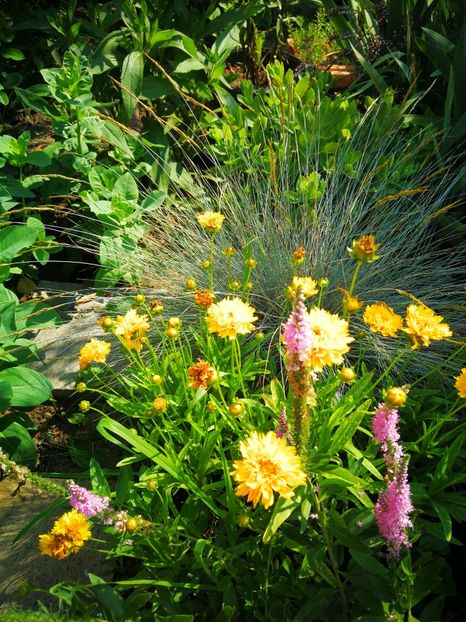  - Flori de grădină-2019