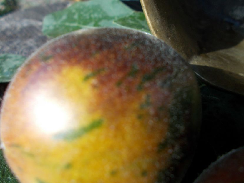  - SEMINTE ROSII - T 344 EXTRAVAGANTE ROUFFIANGE