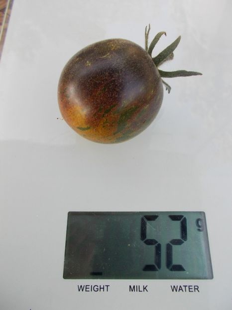  - SEMINTE ROSII - T 344 EXTRAVAGANTE ROUFFIANGE