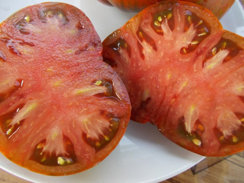  - SEMINTE ROSII - T 440 BANDELIER