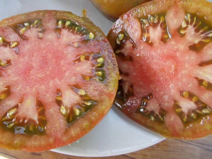  - SEMINTE ROSII - T 389 CHERNYSH