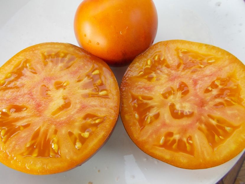  - SEMINTE ROSII - T 322 CLEMENTINE BLEUE