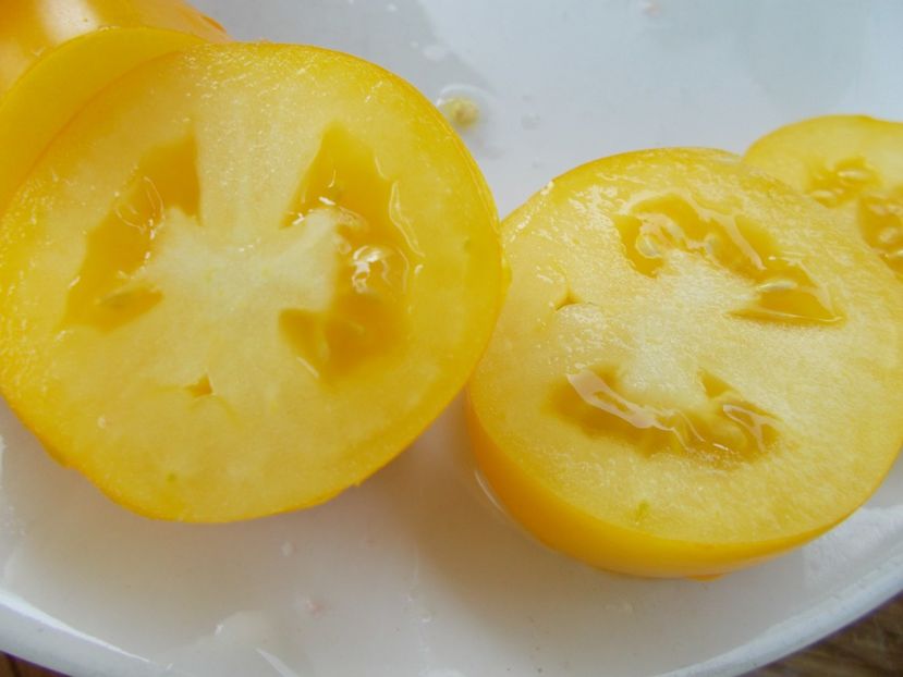  - SEMINTE ROSII - T 297 YELLOW AGATHE