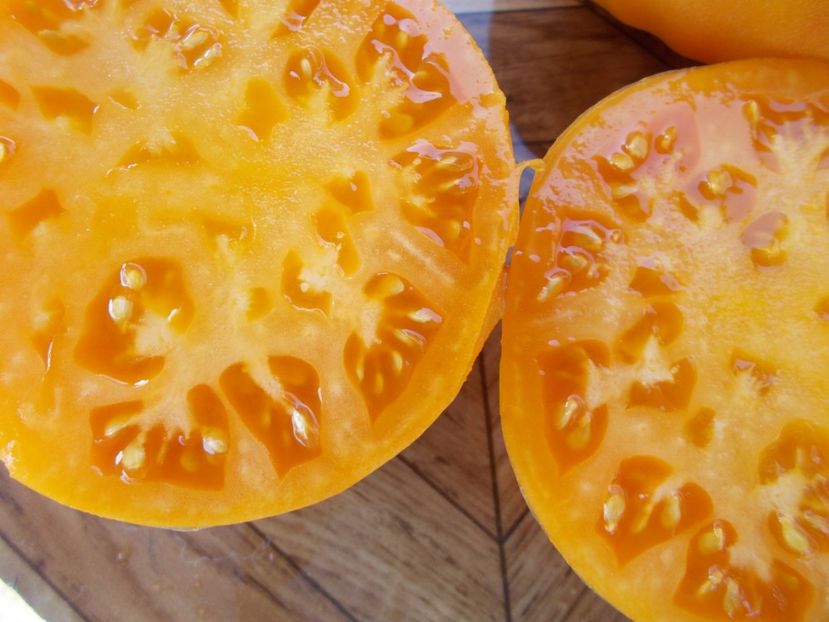  - SEMINTE ROSII - T 346 BIZON GELB