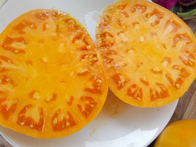  - SEMINTE ROSII - T 462 BIG YELLOW BEEFSTEAK