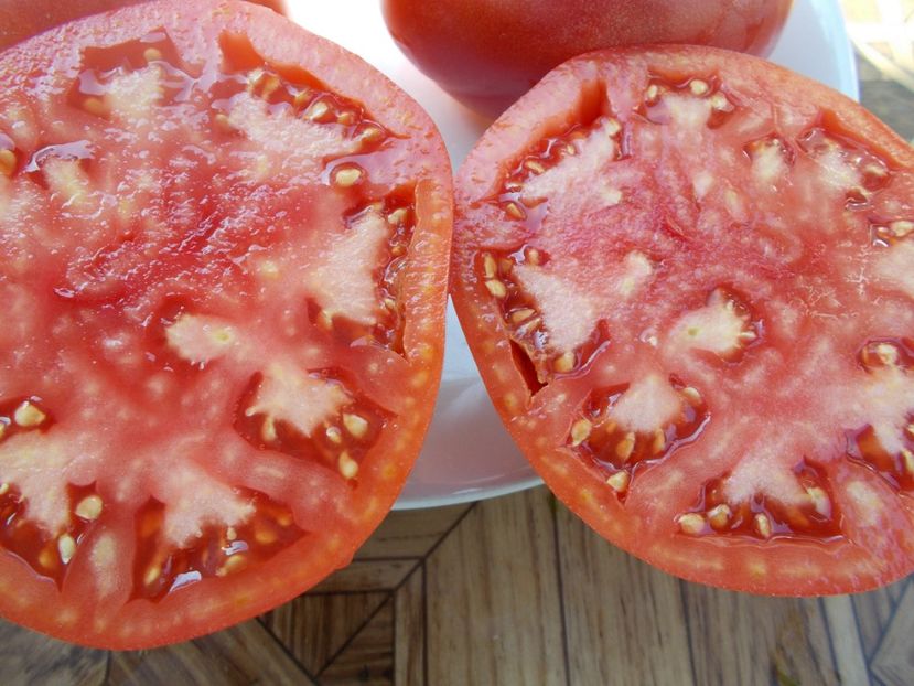  - SEMINTE ROSII - T 459 BEAFSTEAK