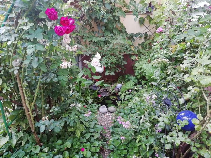  - Gradina 2019