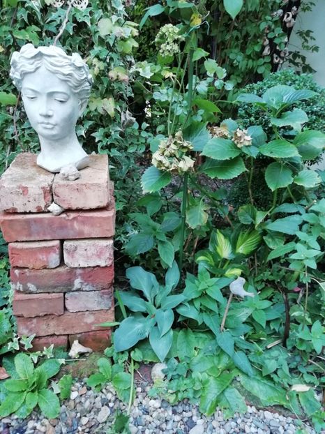  - Gradina 2019