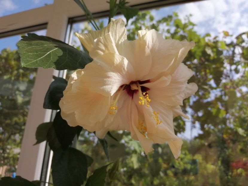  - Balsam pentru suflet