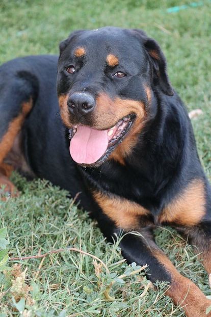 IMG-20190826-WA0029 - Brego