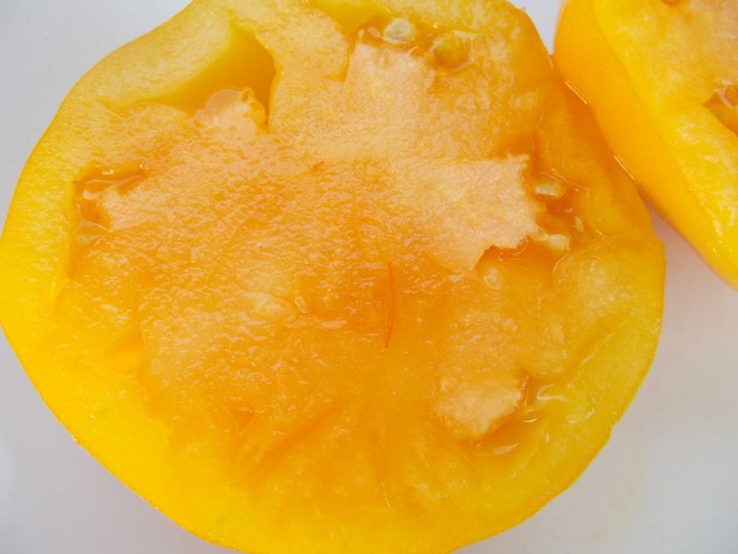  - SEMINTE ROSII - T 401 ACCORDEON