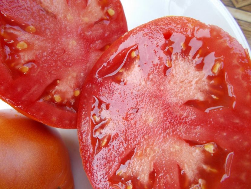  - SEMINTE ROSII - T 430 LIGURIA