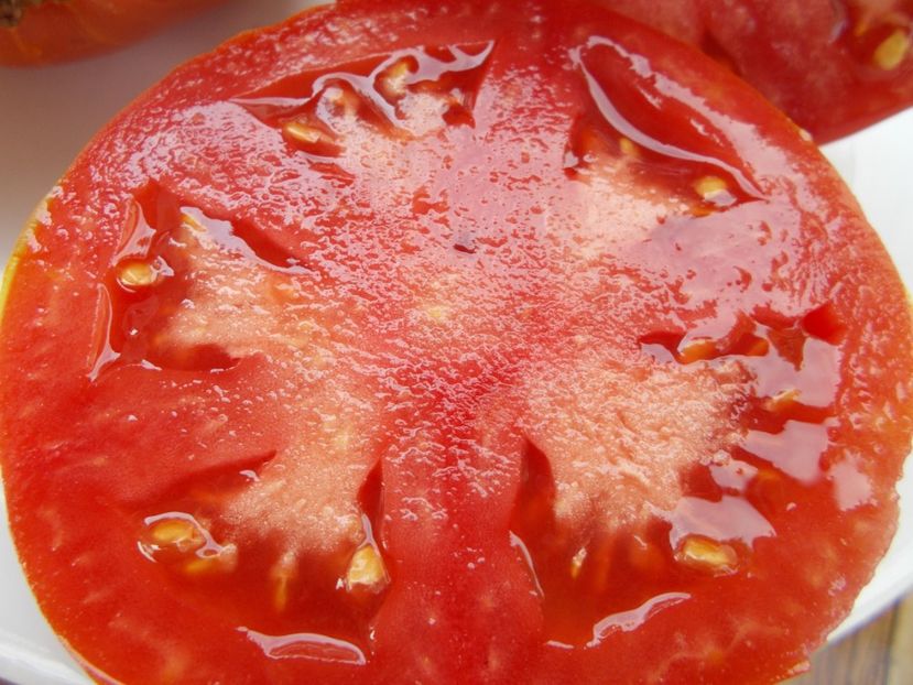  - SEMINTE ROSII - T 430 LIGURIA