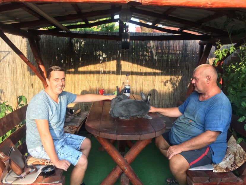 C86D800F-DC23-463F-83A9-867CAFD3C4BF - 8 - Vizita crescătorie Mărieș Gavril 25-08-2019