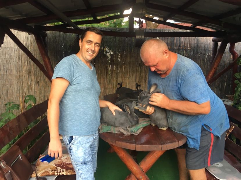 667F7554-50D9-4E7E-8211-E38A6A1EE4A7 - 8 - Vizita crescătorie Mărieș Gavril 25-08-2019