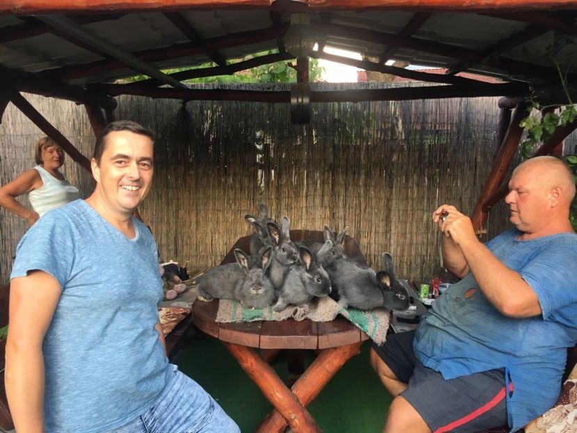 2836680F-5D21-408B-8AC6-24CC5AE1921C - 8 - Vizita crescătorie Mărieș Gavril 25-08-2019