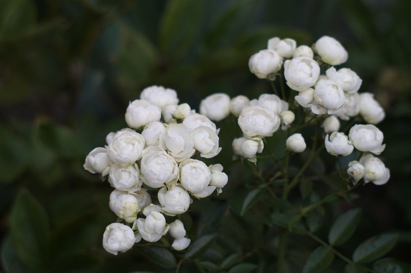  - August 2019- August 2020