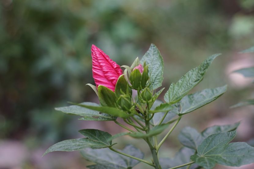  - August 2019- August 2020