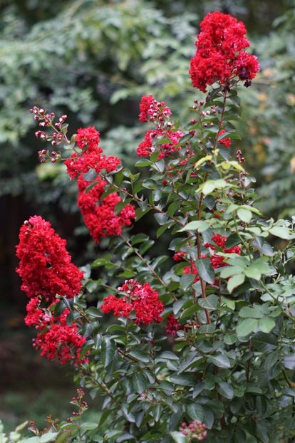  - August 2019- August 2020