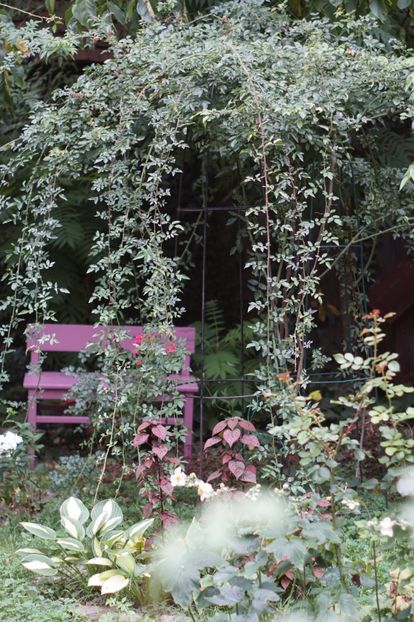  - August 2019- August 2020