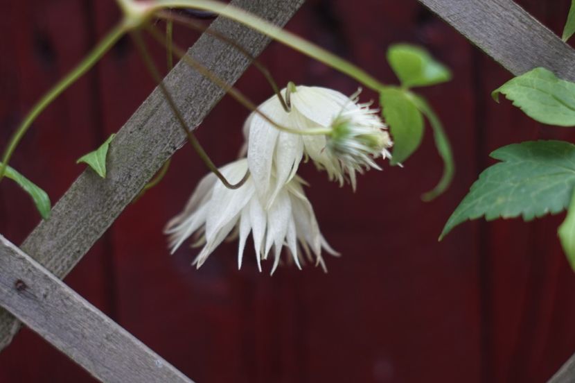  - August 2019- August 2020