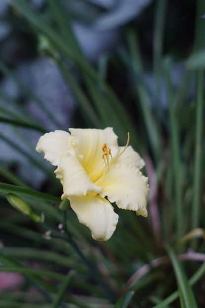  - August 2019- August 2020