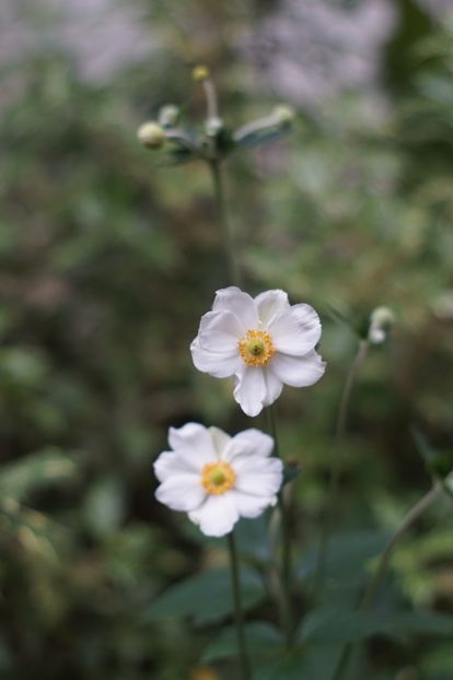  - August 2019- August 2020