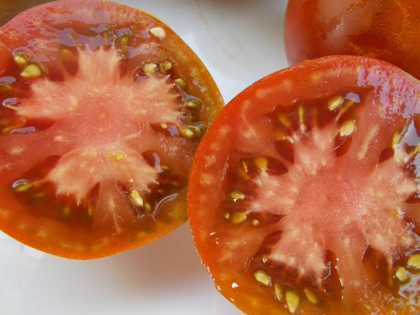  - SEMINTE ROSII - JAPANESE TRIFELE BLACK