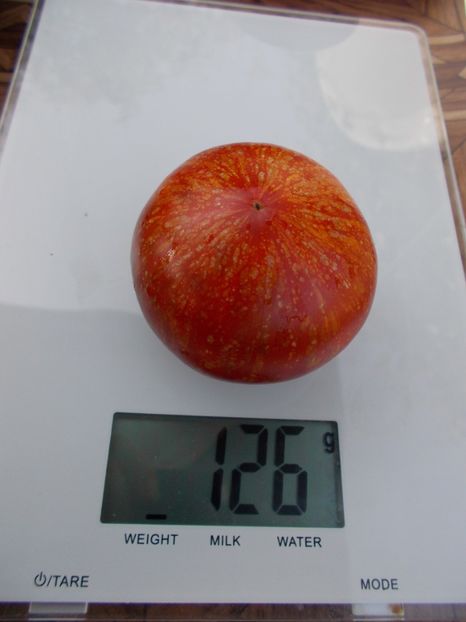  - SEMINTE ROSII - T 418 STRAWBERRY LEOPARD