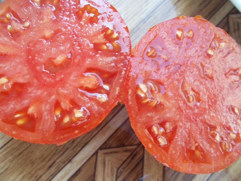  - SEMINTE ROSII - T 418 STRAWBERRY LEOPARD